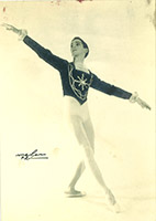 collection.logo